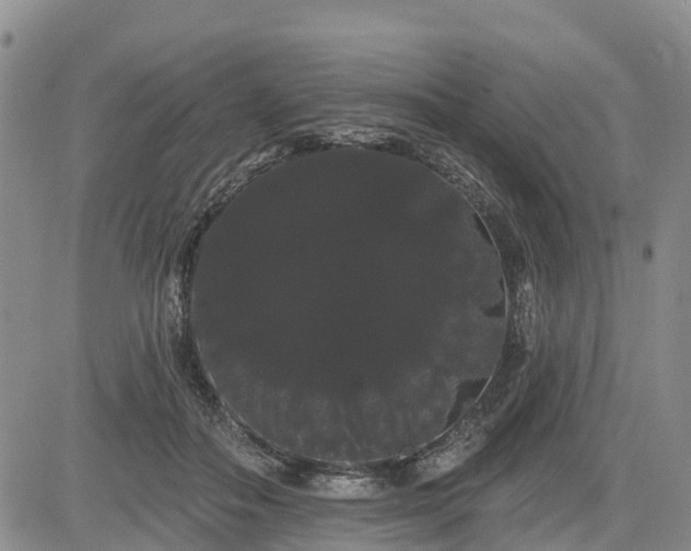 X0000085220506200703161248
