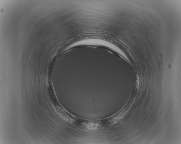 X0000085220512200703161248