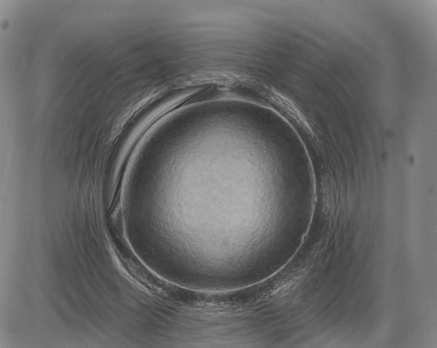 X0000085220538200703161247
