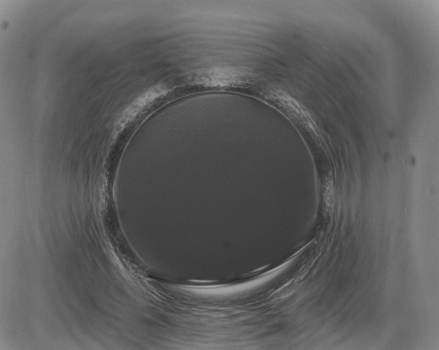 X0000085220540200703161247