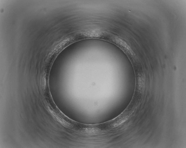 X0000085220541200703161247