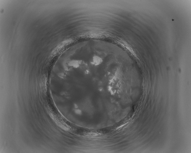 X0000085220542200703161247