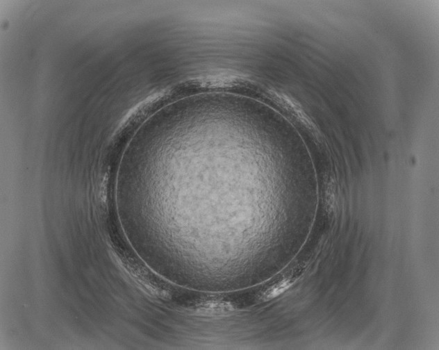 X0000085220543200703161247