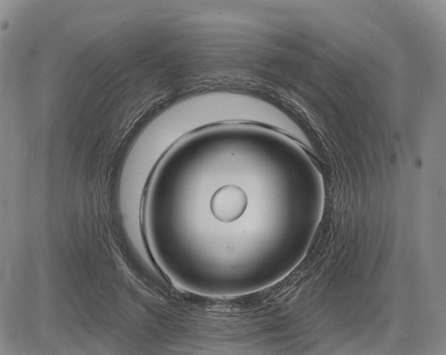 X0000085220546200703161247