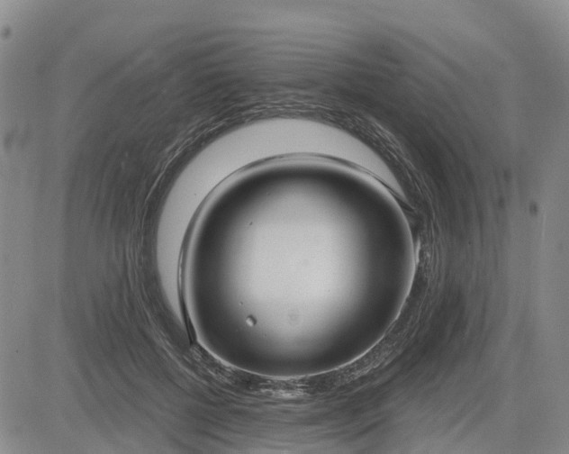 X0000085220552200703161247