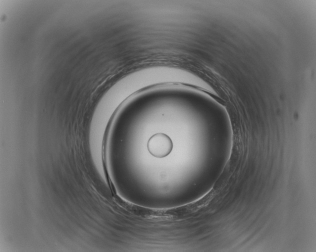 X0000085220556200703161247