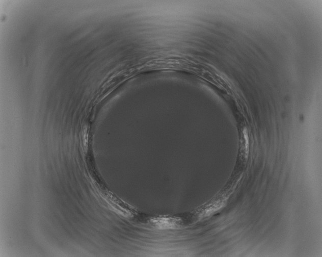 X0000085220558200703161247