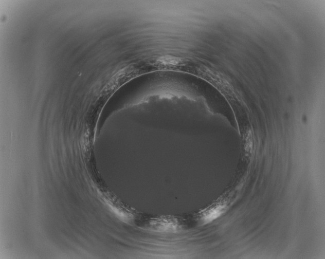 X0000085220559200703161247