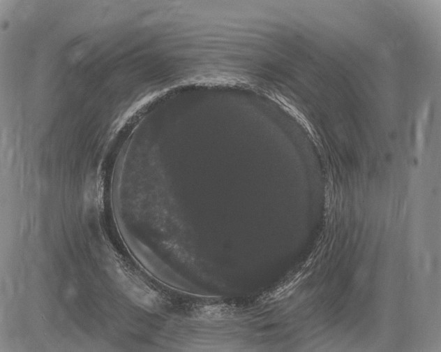 X0000085220584200703161247