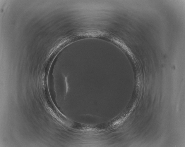 X0000085220585200703161247