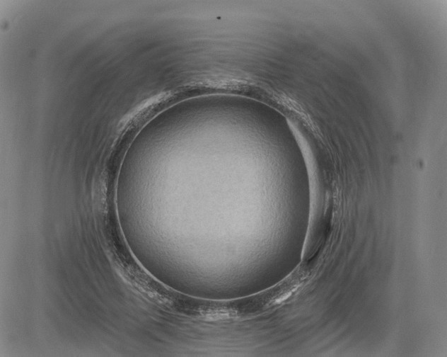 X0000085220587200703161247