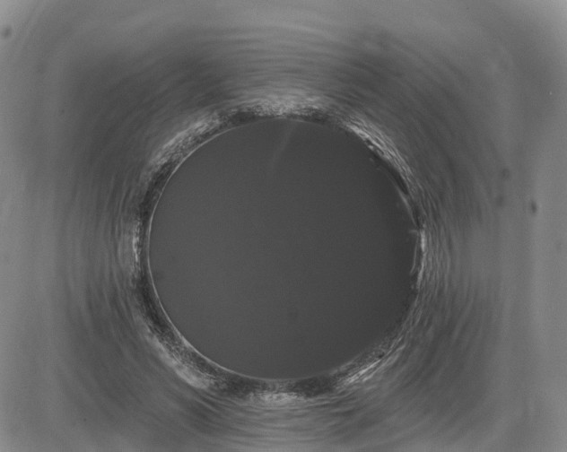 X0000085220590200703161247