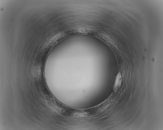X0000085220595200703161247