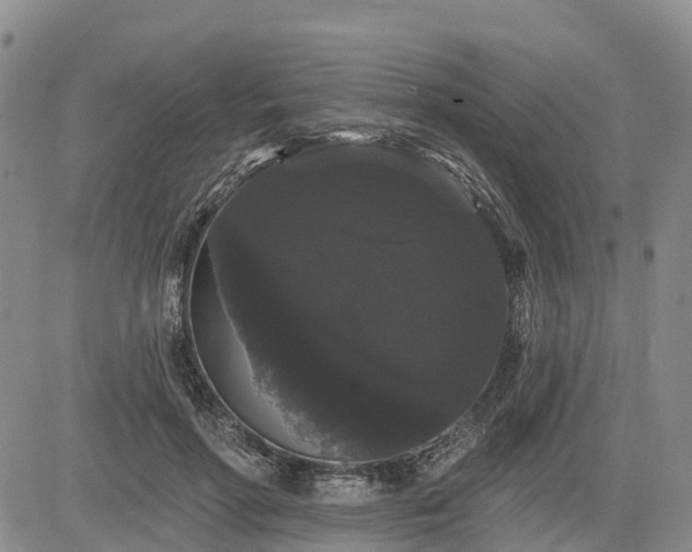 X0000085220598200703161247