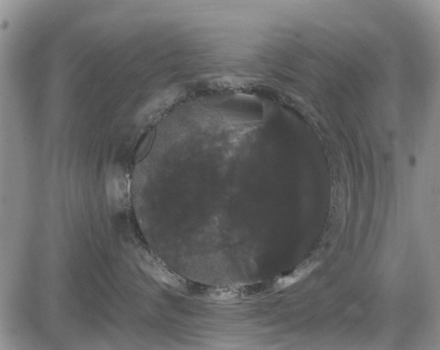 X0000085220624200703161246