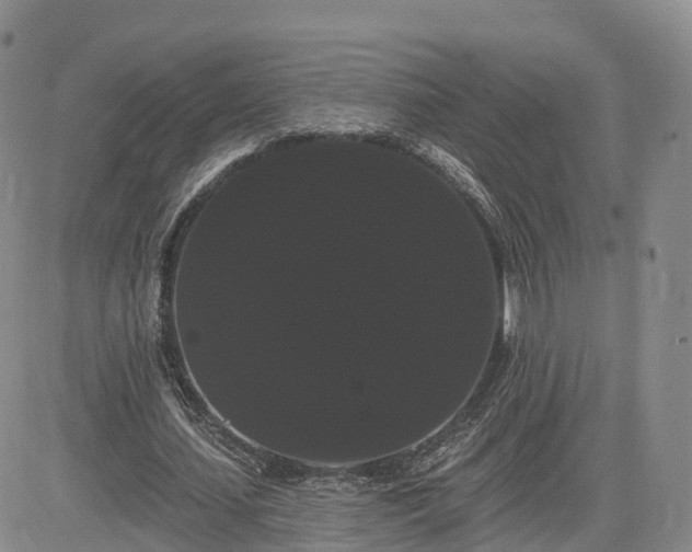 X0000085220627200703161245