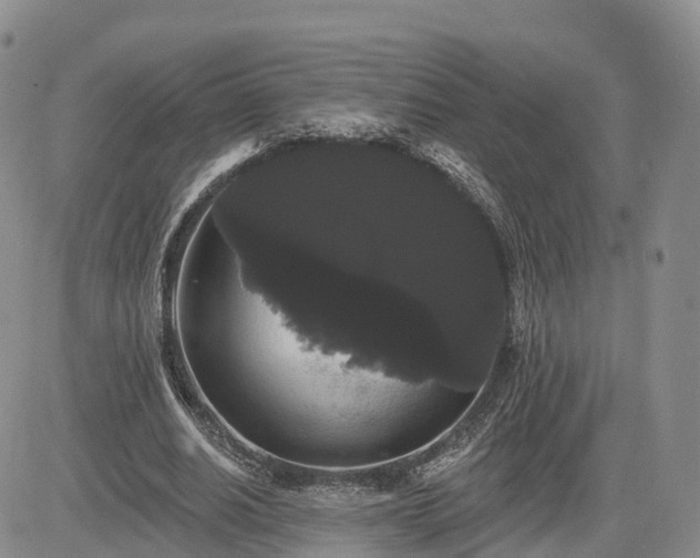 X0000085220630200703161245