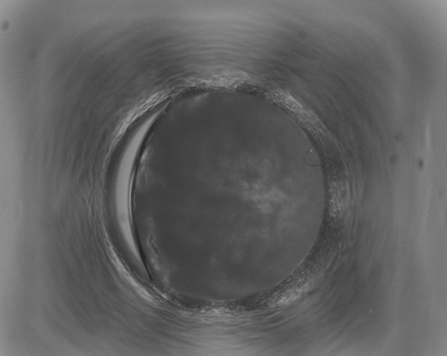 X0000085220634200703161246