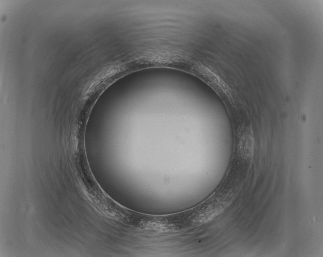 X0000085220635200703161246