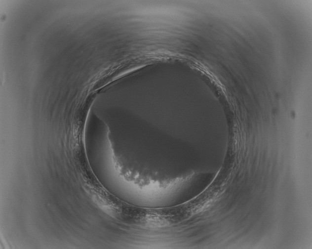 X0000085220641200703161246