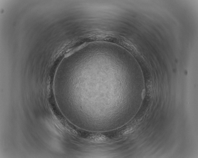 X0000085220642200703161246