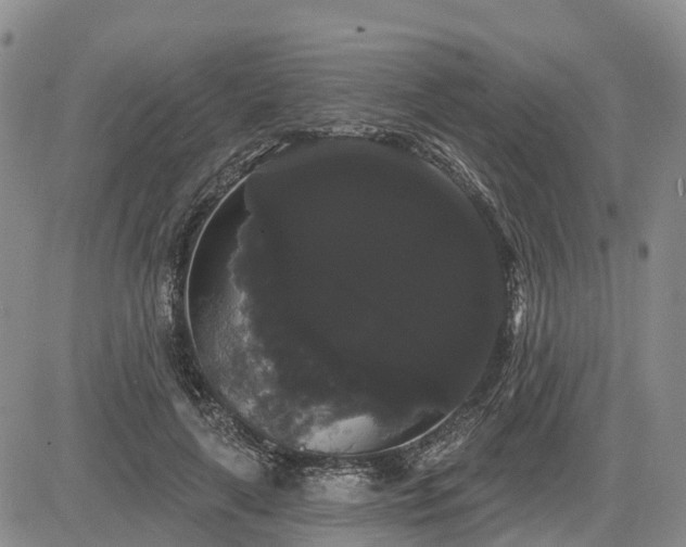 X0000085220643200703161246
