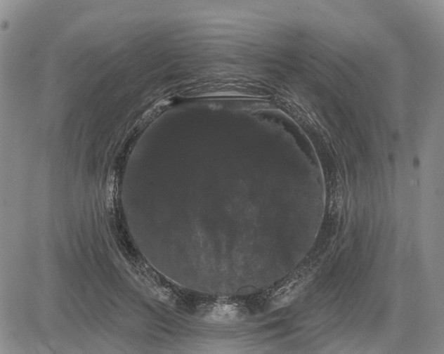 X0000085220647200703161246