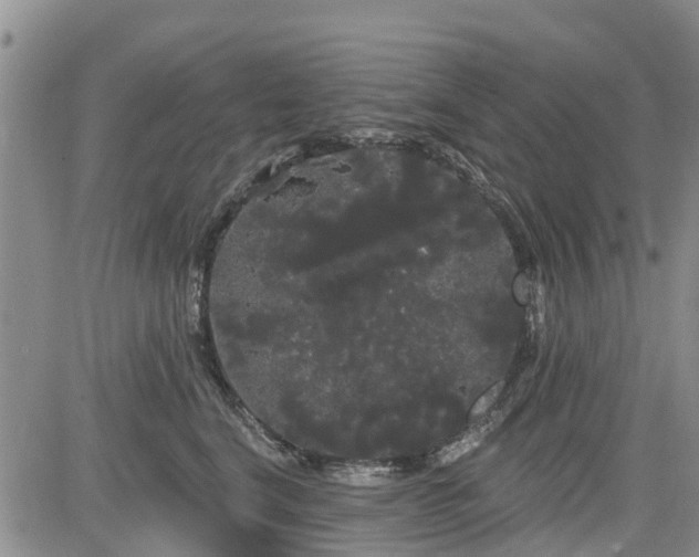 X0000085220664200703161246