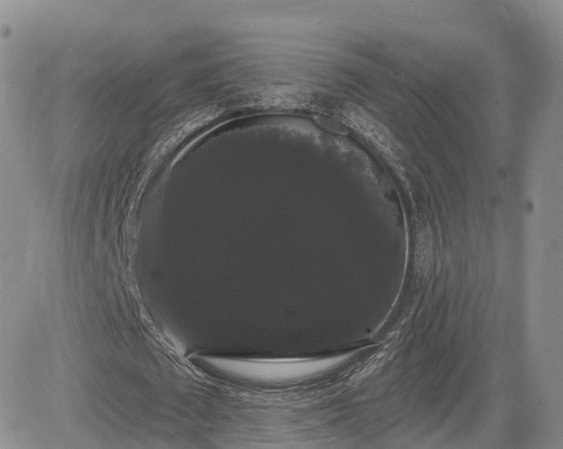 X0000085220673200703161245