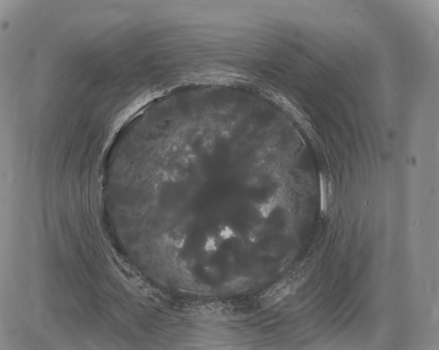 X0000085220675200703161245