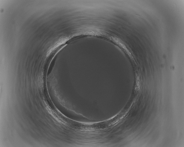 X0000085220677200703161245