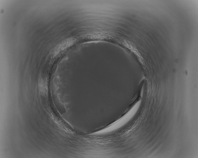 X0000085220681200703161245