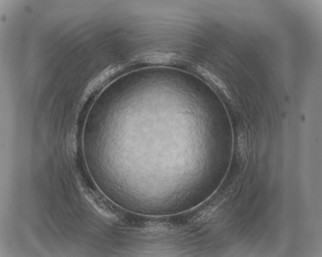 X0000085220682200703161245