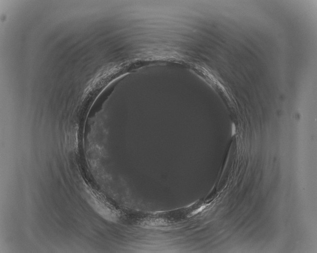 X0000085220685200703161245