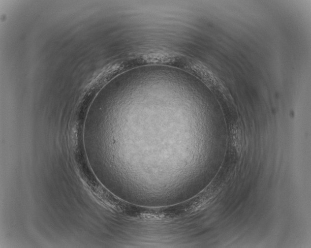 X0000085220690200703161245