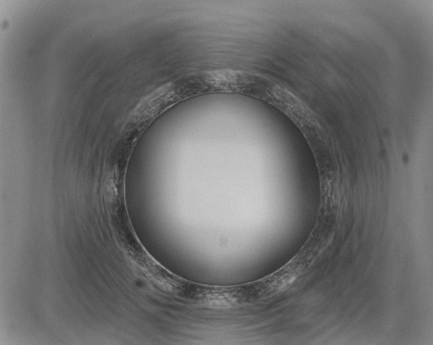 X0000085220702200703161245