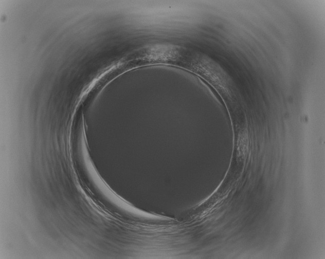 X0000085220722200703161244