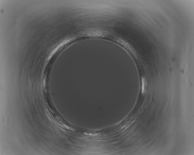 X0000085220723200703161244