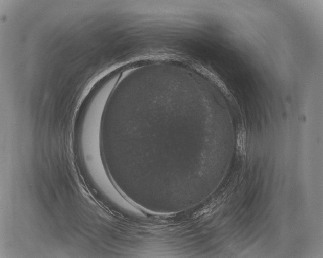 X0000085220724200703161244
