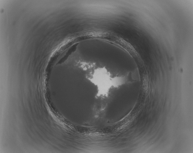 X0000085220730200703161244