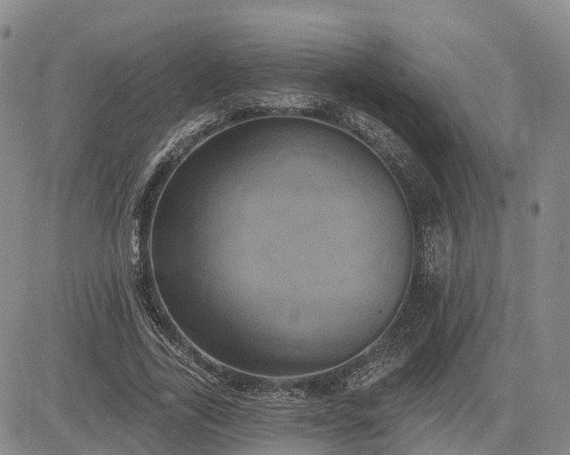 X0000085220731200703161244