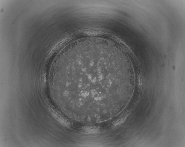 X0000085220733200703161244