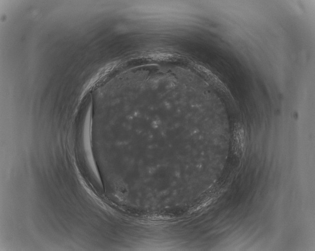 X0000085220734200703161244