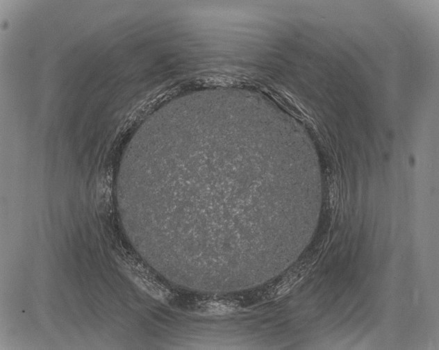 X0000085220737200703161244