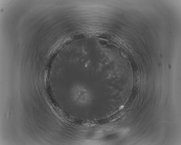 X0000085220742200703161244