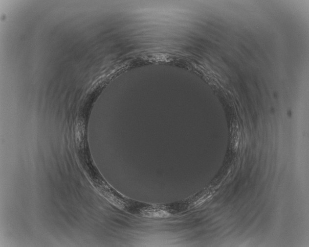 X0000085220747200703161244