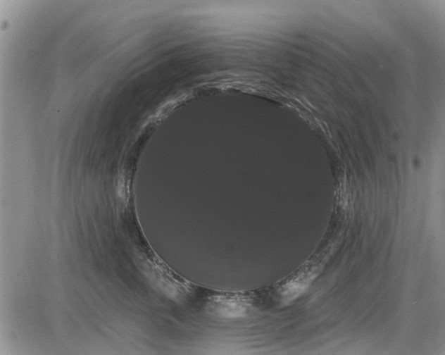 X0000085220763200703161244