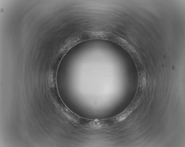 X0000085220764200703161244