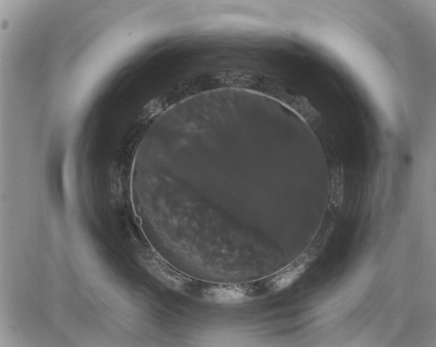 X0000085220765200703161245