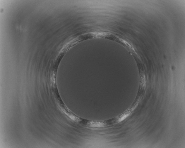 X0000085220766200703161245